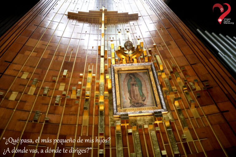 Que pasa, el mas pequeño mis hijos? A donde vas, a donde te diriges?