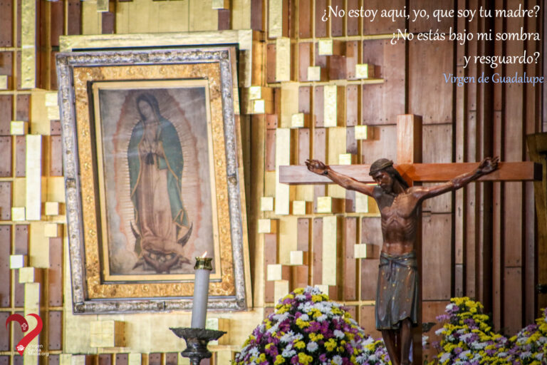 Basilica de Guadalupe