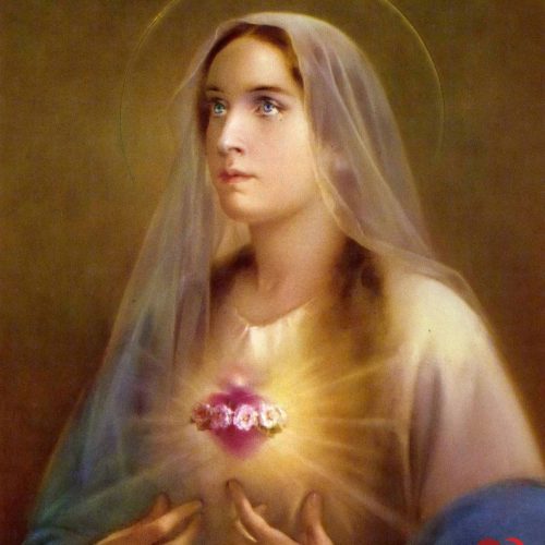 Oración - Ave María